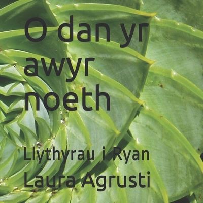 Cover for Laura Agrusti · O dan yr awyr noeth (Paperback Book) (2020)