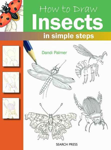 Cover for Dandi Palmer · How to Draw: Insects - How to Draw (Paperback Book) (2013)