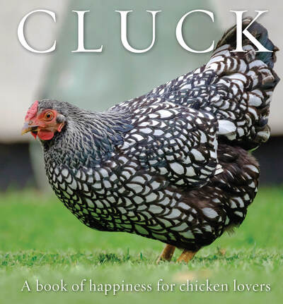 Cover for Cluck: A Book of Happiness for Chicken Lovers - Animal Happiness (Paperback Book) [Second edition] (2020)