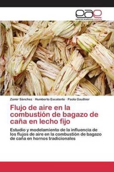 Cover for Sánchez · Flujo de aire en la combustión (Book) (2015)