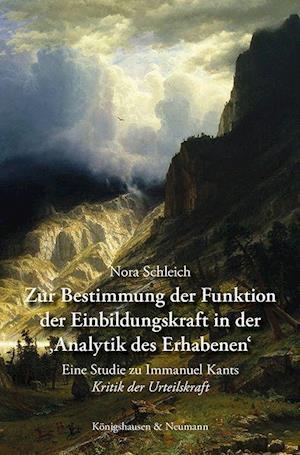 Cover for Schleich · Zur Bestimmung der Funktion de (Book)