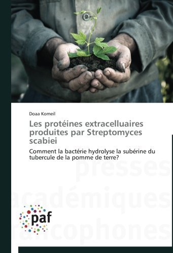 Cover for Doaa Komeil · Les Protéines Extracelluaires Produites Par Streptomyces Scabiei: Comment La Bactérie Hydrolyse La Subérine Du Tubercule De La Pomme De Terre? (Paperback Book) [French edition] (2018)
