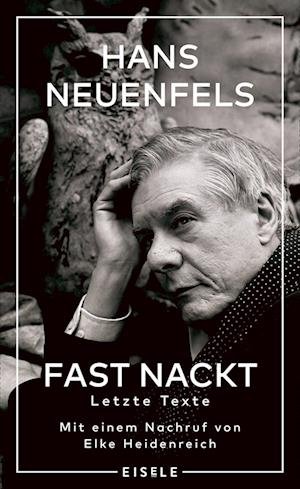 Cover for Hans Neuenfels · Fast nackt (Gebundenes Buch) (2022)