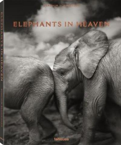 Cover for Joachim Schmeisser · Elephants in Heaven (Hardcover Book) (2021)