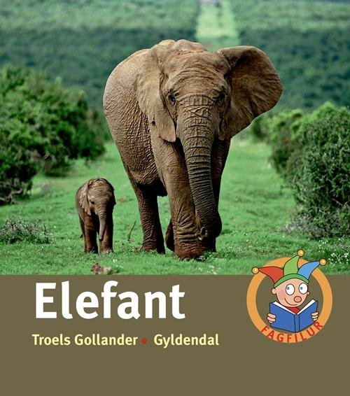 Cover for Troels Gollander · Fagfilur: Elefant (Bound Book) [1er édition] [Indbundet] (2014)