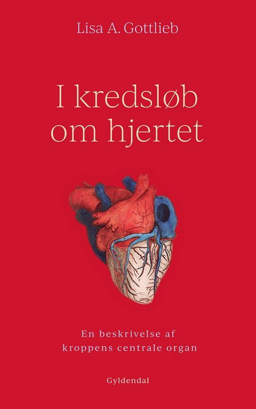 Cover for Lisa A. Gottlieb · I kredsløb om hjertet (Sewn Spine Book) [1st edition] (2025)