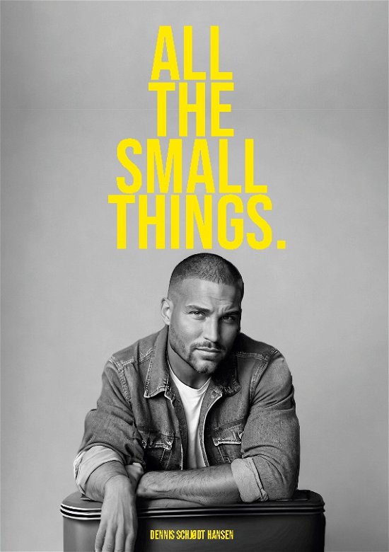 Cover for Dennis Schjødt Hansen · All the Small Things (Hardcover bog) [1. udgave] (2023)
