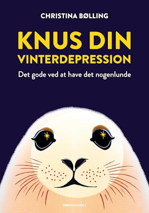 Knus din vinterdepression - Christina Bølling - Bücher - Grønningen 1 - 9788773392478 - 27. Dezember 2023