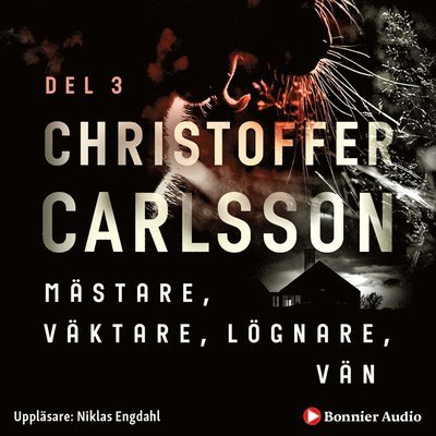 Cover for Christoffer Carlsson · Leo Junker: Mästare, väktare, lögnare, vän (Audiobook (MP3)) (2019)