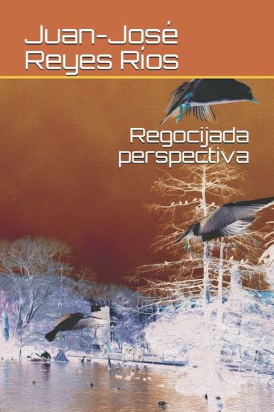 Cover for Juan-Jose Reyes Rios · Regocijada perspectiva (Paperback Book) (2020)