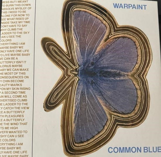 Common Blue / Underneath (Transparant Blue Vinyl) - Warpaint - Musique - ROUGH TRADE - 0191402047479 - 22 mars 2024