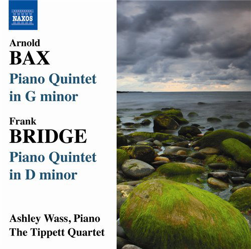 Cover for Bax / Bridge / Tippett Quartet / Wass · Piano Quintets (CD) (2010)