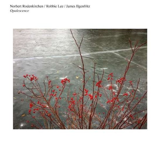 Cover for Norbert Rodenkirchen / Robbie Lee / James Ilgenfritz · Opalescence (CD) (2018)