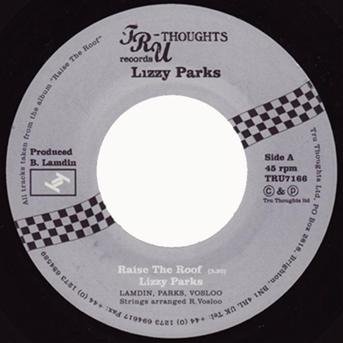 Raise the Roof - Parks Lizzy - Musik - Tru Thoughts - 5060006326479 - 11. juli 2008