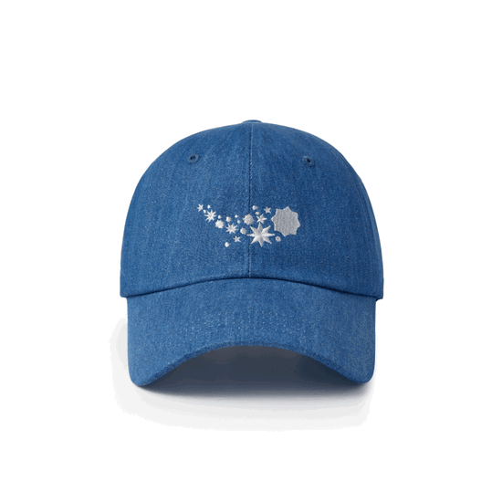 Cover for BTS · 2025 Festa - Ball Cap (Cap) (2025)