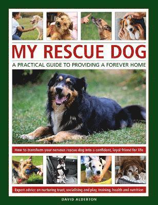 Cover for David Alderton · My Rescue Dog: A practical guide to providing a forever home: How to understand and transform your nervous rescue dog into a happy, confident, loyal friend for life; Expert advice on nurturing trust, obedience training, socialising, health and nutrition,  (Hardcover Book) (2022)