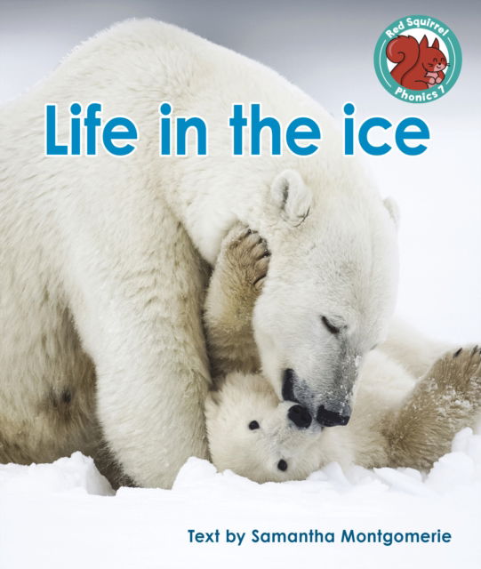 Cover for Samantha Montgomerie · Life in the ice - Red Squirrel Phonics Level 7 Set 2a (Paperback Book) (2023)