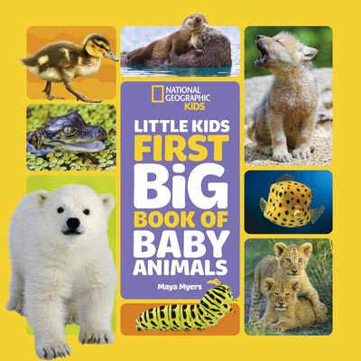 Cover for Maya Myers · Little Kids First Big Book of Baby Animals (N/A) (2022)