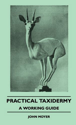 Cover for John Moyer · Practical Taxidermy - a Working Guide (Hardcover Book) (2010)