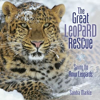 Cover for Sandra Markle · The great leopard rescue (Book) (2016)