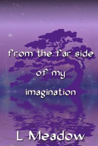 Cover for L Meadow · From The Far Side Of My Imagination (Paperback Book) (2014)