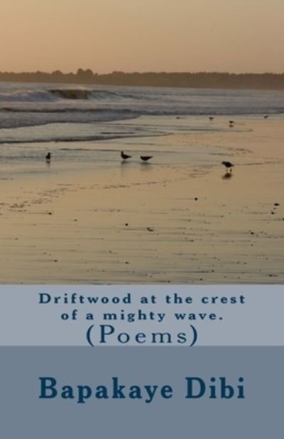 Driftwood at the crest of a mighty wave - Bapakaye I Dibi - Bøger - Createspace Independent Publishing Platf - 9781541179479 - 10. januar 2017