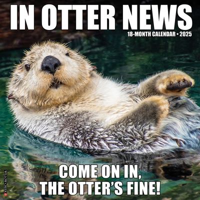 In Otter News 2025 12 X 12 Wall Calendar - Willow Creek Press - Merchandise - Willow Creek Press Calendars - 9781549243479 - September 10, 2024