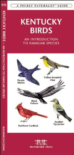 Cover for James Kavanagh · Kentucky Birds: a Folding Pocket Guide to Familiar Species (Pocket Naturalist Guide Series) (Pamphlet) [1st edition] (2017)