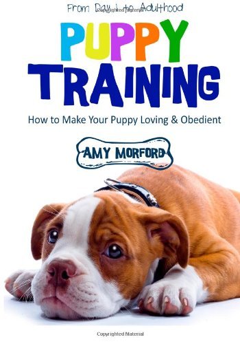 Cover for Miss Amy Morford · Puppy Training: from Day 1 to Adulthood: How to Make Your Puppy Loving and Obedient (Paperback Book) (2013)