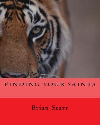 Cover for Brian Daniel Starr · Finding Your Saints (Paperback Book) (2018)