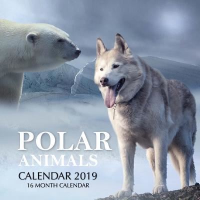 Cover for Mason Landon · Polar Animals Calendar 2019 (Paperback Book) (2018)