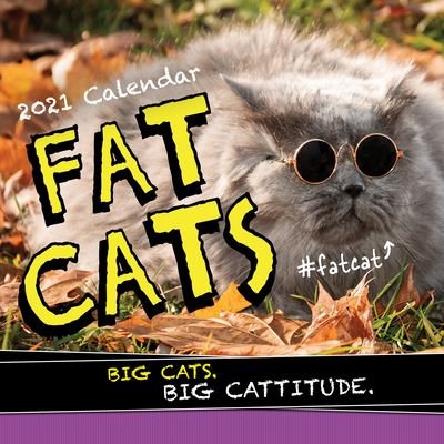 Cover for Sourcebooks · 2021 Fat Cats Wall Calendar: Big Cats. Big Cattitude. (Calendar) (2020)
