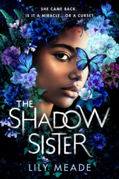 Cover for Lily Meade · The Shadow Sister (Gebundenes Buch) (2023)
