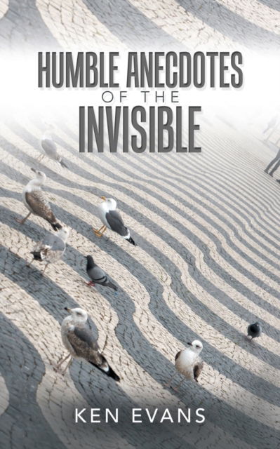 Cover for Ken Evans · Humble Anecdotes of the Invisible (Paperback Book) (2019)