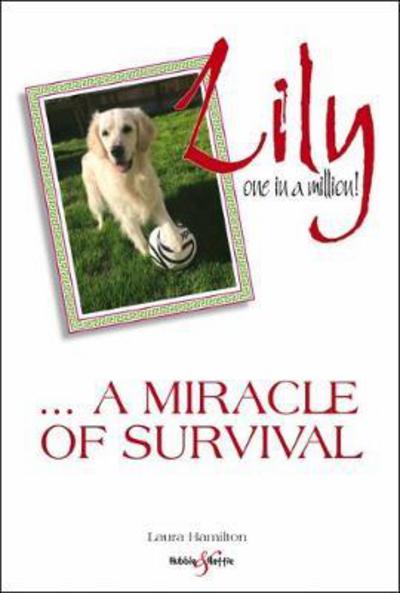 Lily: One in a Million: ... a Miracle of Survival - Laura Hamilton - Książki - David & Charles - 9781787111479 - 15 marca 2018