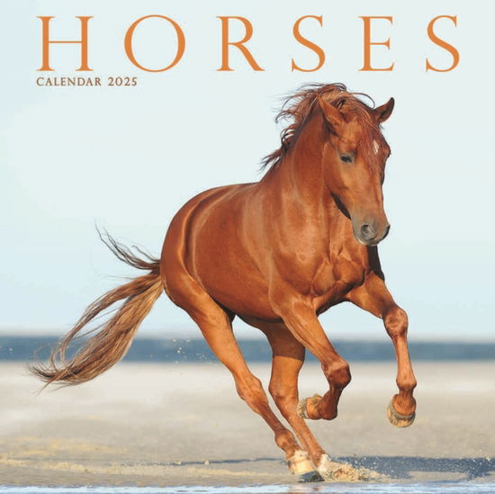 Cover for Avonside Publishing Ltd · Horses Square Mini Calendar 2025 (Calendar) (2024)