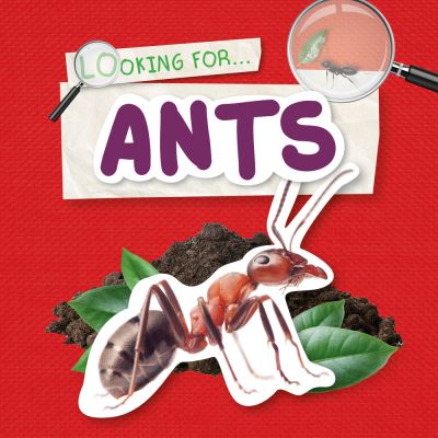 Cover for Emilie Dufresne · Ants - Looking for (Hardcover Book) (2020)