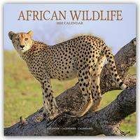 Cover for Kalender · African Wildlife 2022 Wall Calendar (Calendar) (2021)