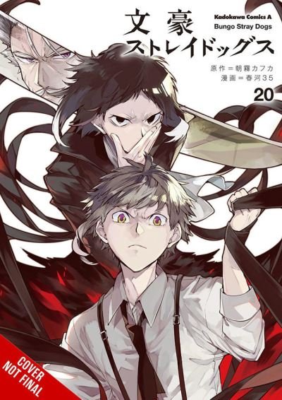 Cover for Kafka Asagiri · Bungo Stray Dogs, Vol. 20 - BUNGO STRAY DOGS GN (Paperback Bog) (2021)