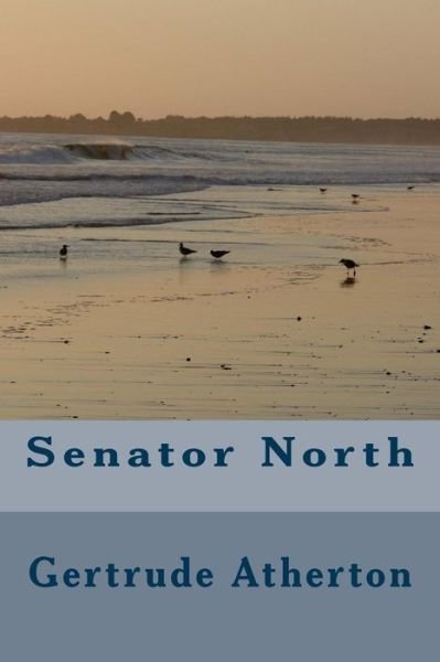 Cover for Gertrude Franklin Horn Atherton · Senator North (Taschenbuch) (2018)