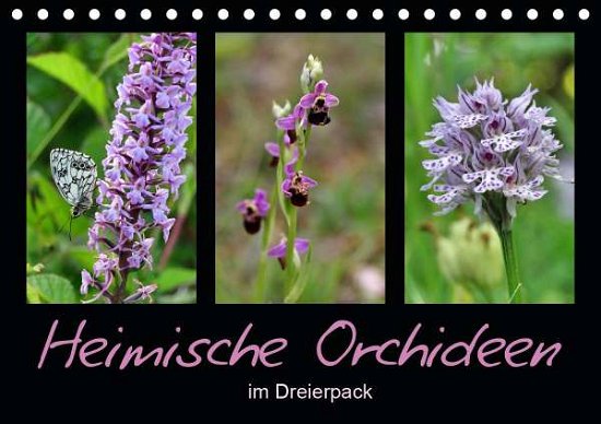 Heimische Orchideen im Dreierpack - Löwer - Böcker -  - 9783671432479 - 
