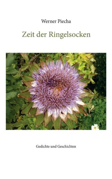 Cover for Werner Piecha · Zeit der Ringelsocken (Paperback Book) (2019)