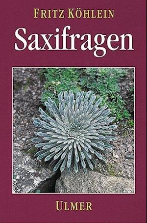 Cover for Fritz Köhlein · Saxifragen und andere Steinbrechgewächse (Hardcover Book) (1995)