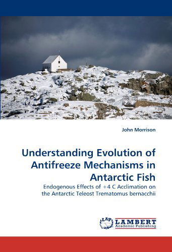 Cover for John Morrison · Understanding Evolution of Antifreeze Mechanisms in Antarctic Fish: Endogenous Effects of +4 C Acclimation on the Antarctic Teleost Trematomus Bernacchii (Paperback Book) (2010)