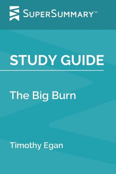 Cover for Supersummary · Study Guide (Paperback Book) (2020)