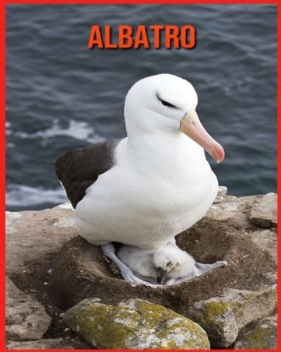 Cover for Annie Nichols · Albatro (Paperback Book) (2021)