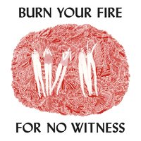 Cover for Angel Olsen · Burn Your Fire for No Witness (CD) [Deluxe edition] (2014)