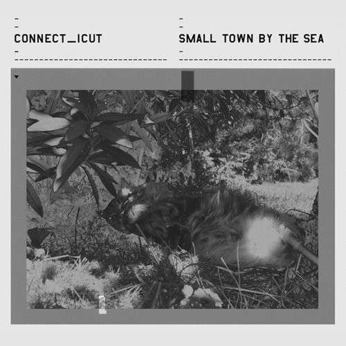 Cover for Connect_icut · Small Town by the Sea (CD) (2014)