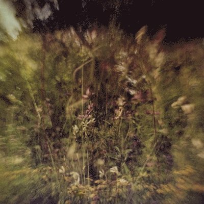 Cover for Pluralone · Across The Park / Sevens (LP) (2022)