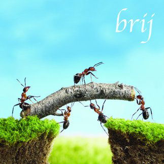 Cover for Ekoostik Hookah · Brij (CD) (2013)